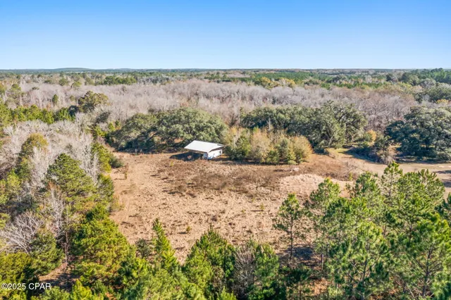 $229,999 | 2539 David's Road, Vernon, FL 32462