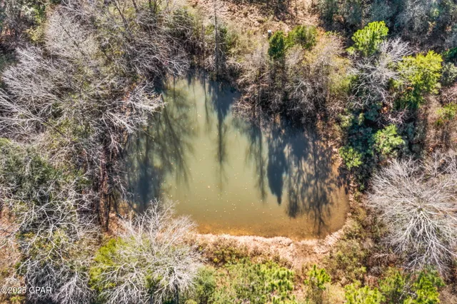 $229,999 | 2539 David's Road, Vernon, FL 32462