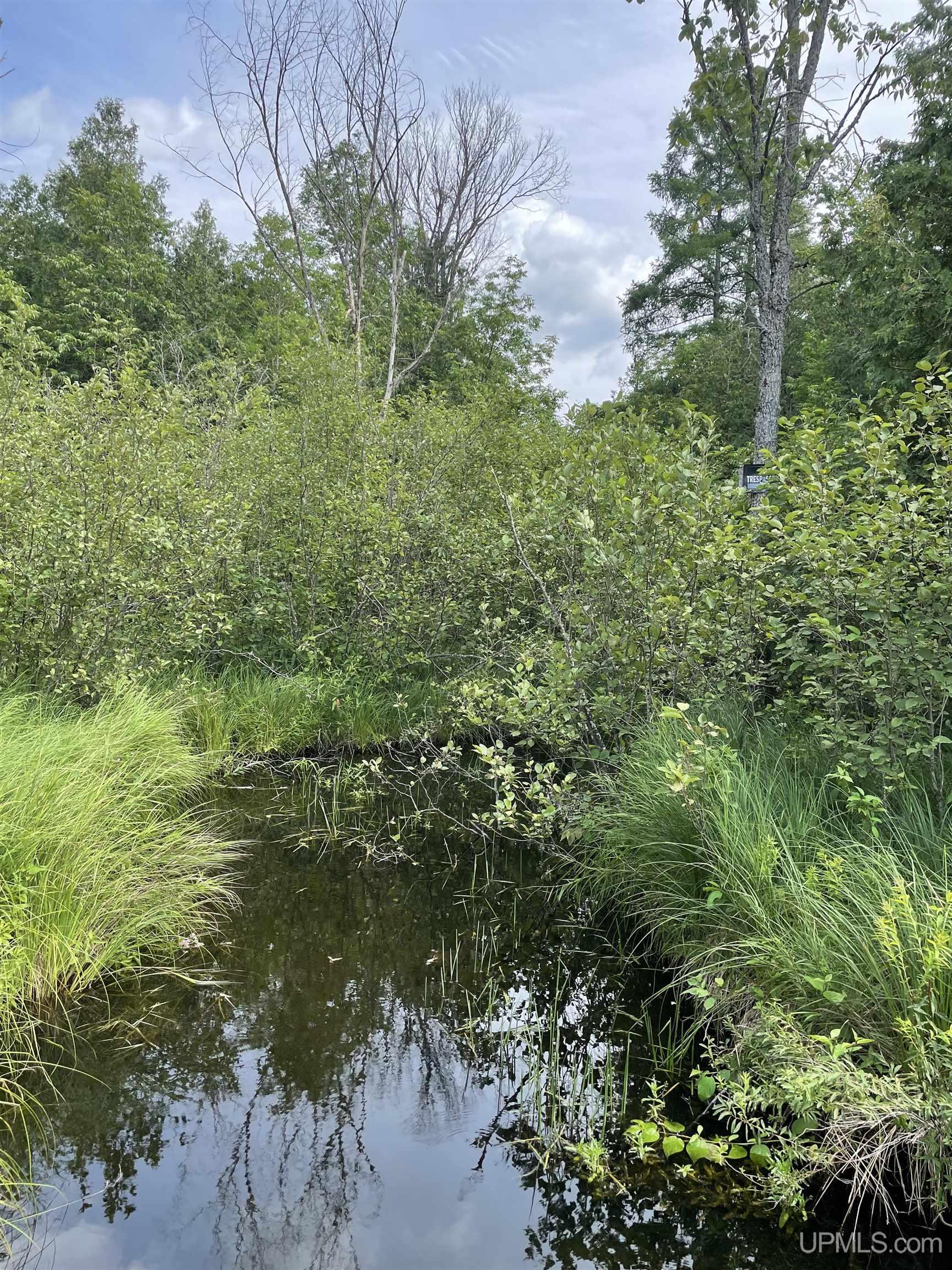 1 Gustafson Road Vulcan, MI 49892 - Photo 20 of 55