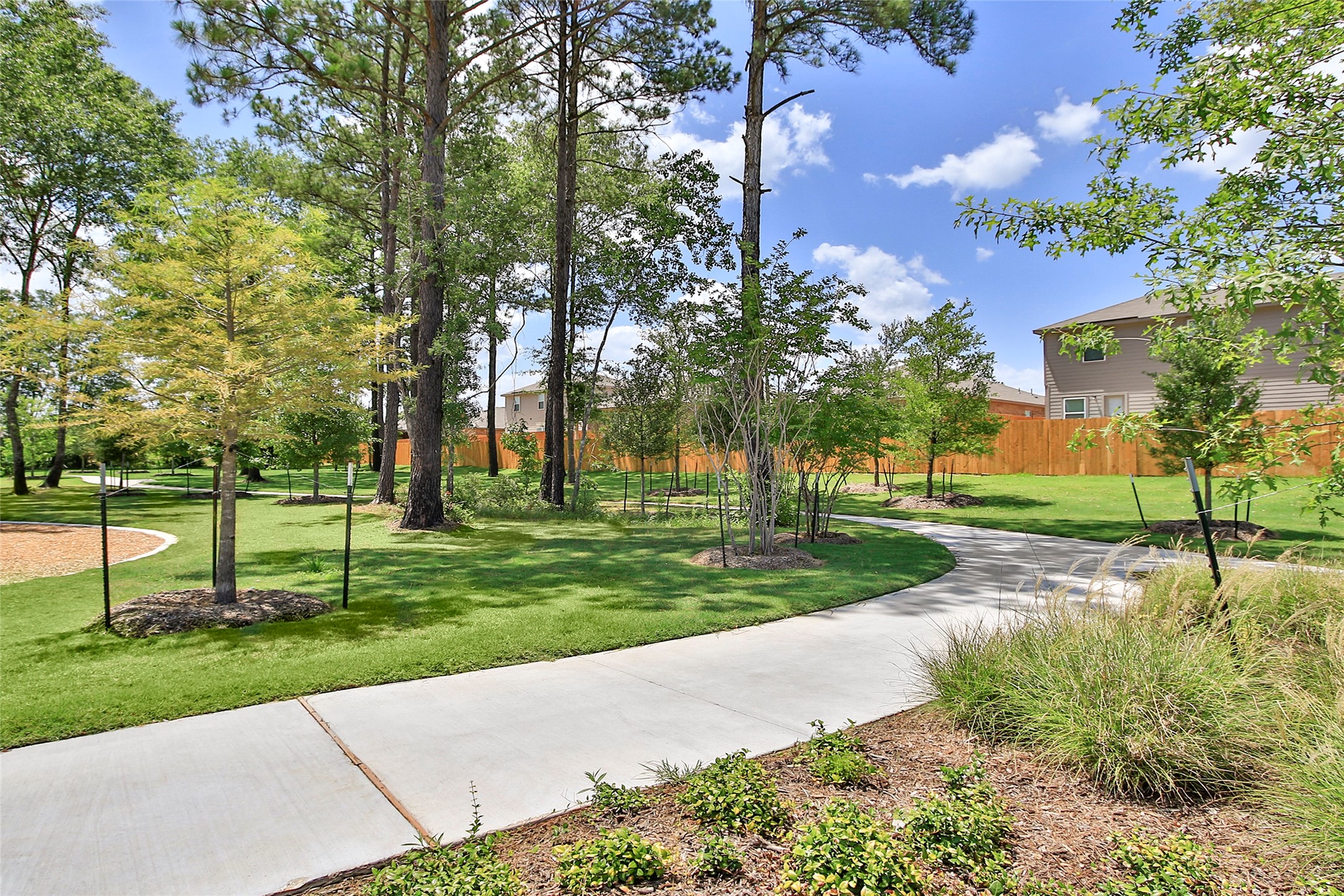 10430 Red Cardinal Drive Cleveland, TX 77328 - Photo 23 of 23 a view of a park with tree s
