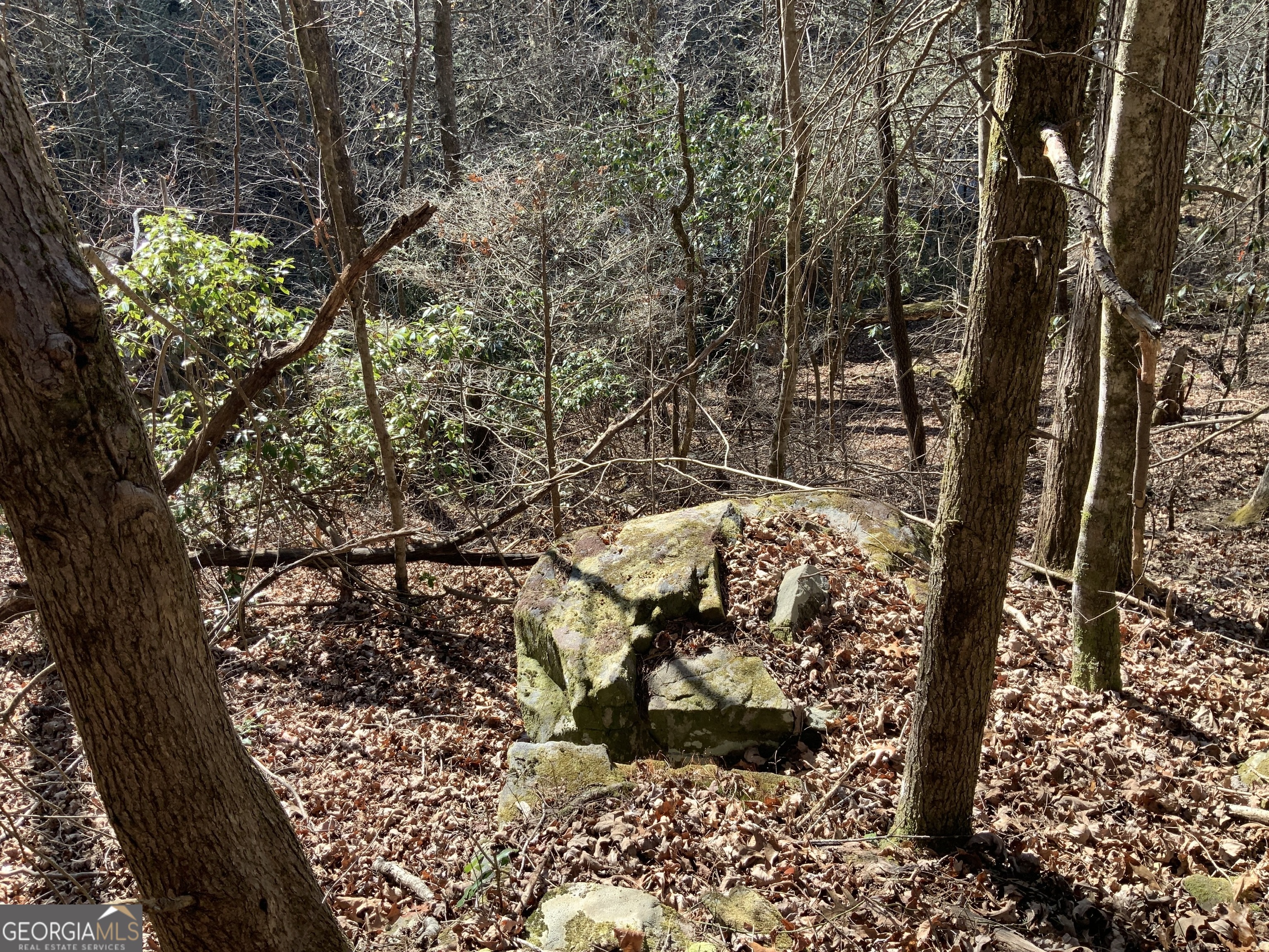 0 Fightingtown Creek Road McCaysville, GA 30555 - Photo 14 of 36 a view of outdoor space