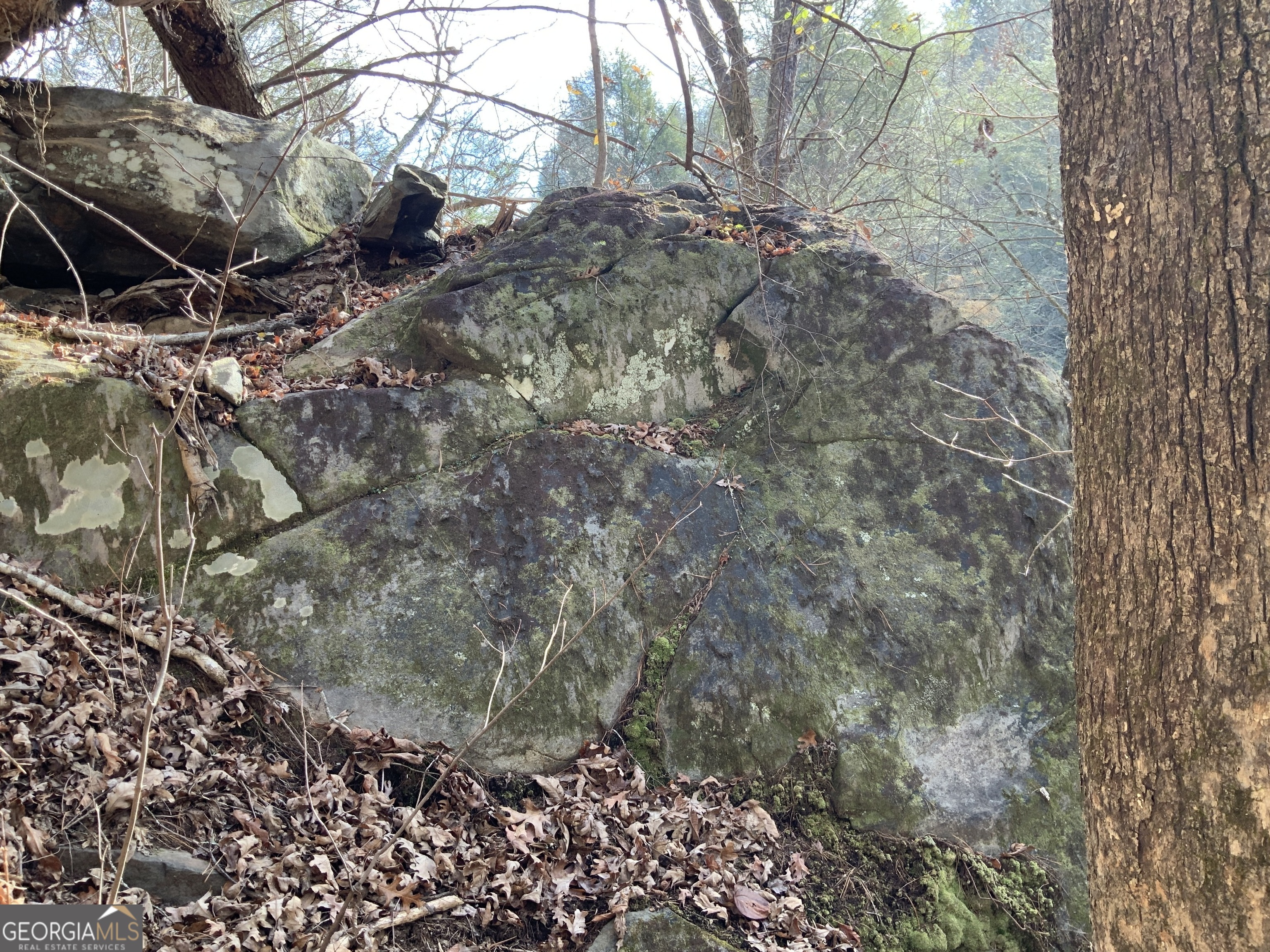 0 Fightingtown Creek Road McCaysville, GA 30555 - Photo 16 of 36 a backyard of a house