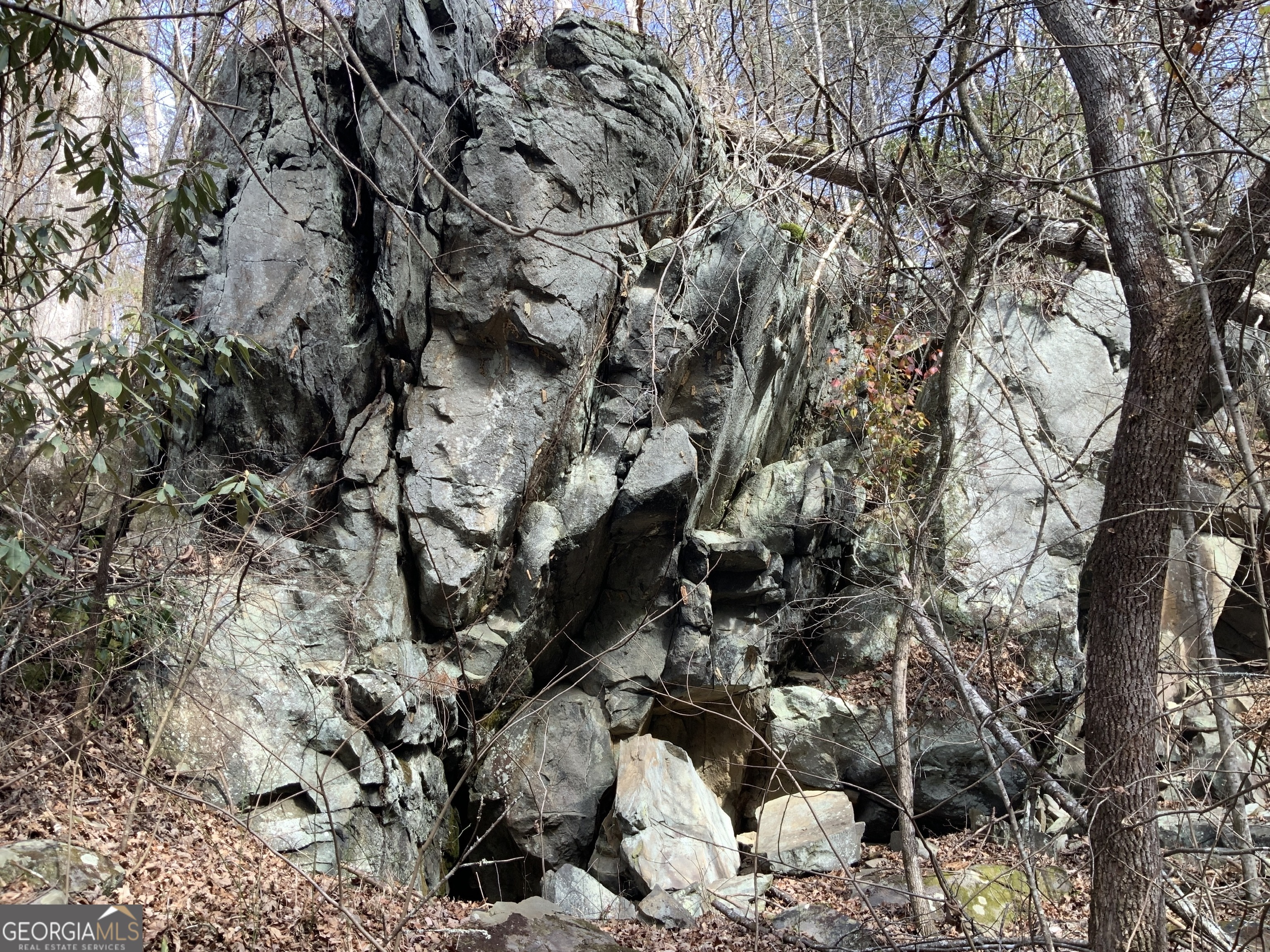 0 Fightingtown Creek Road McCaysville, GA 30555 - Photo 17 of 36 a view of a tree in a yard