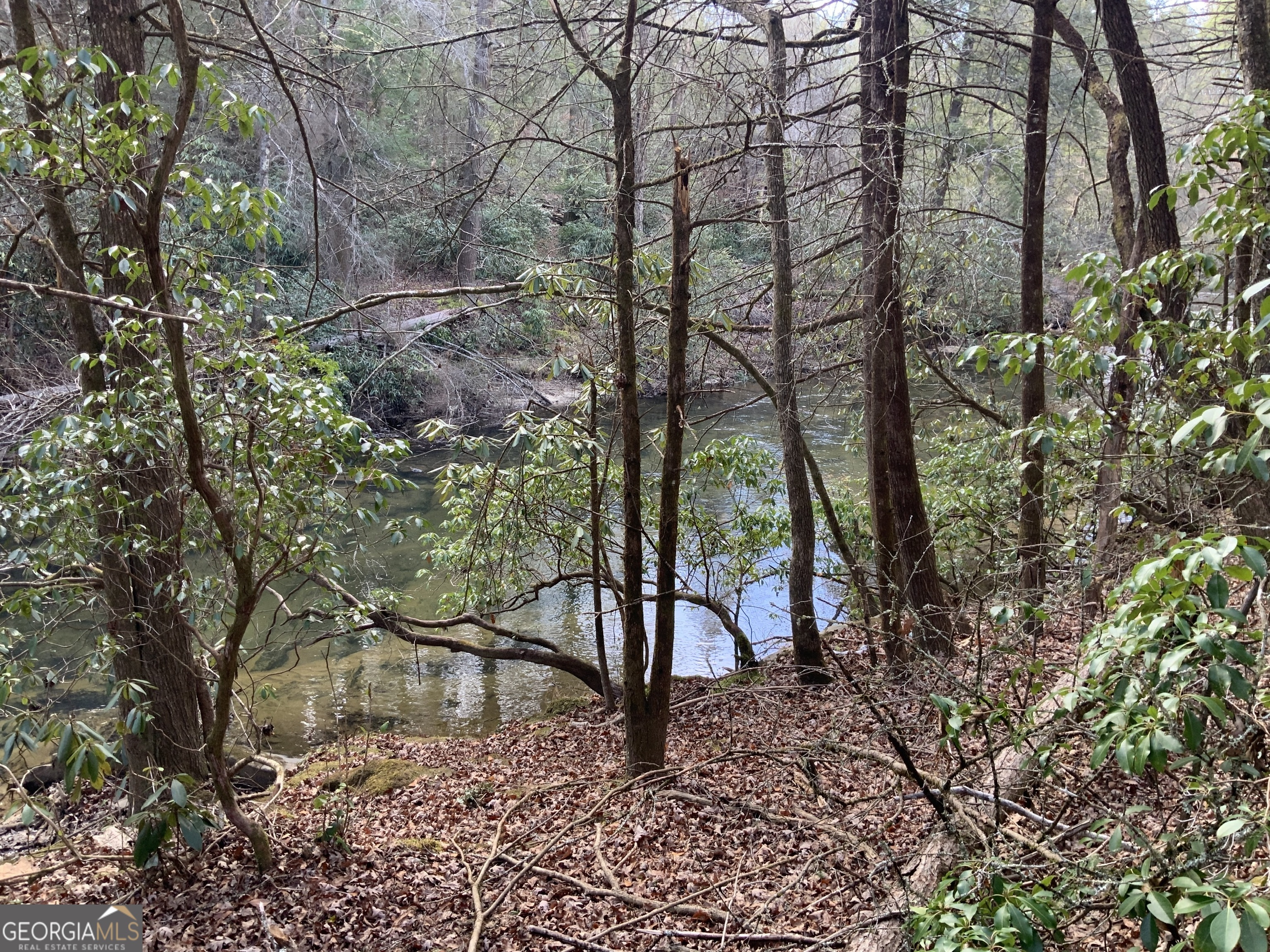 0 Fightingtown Creek Road McCaysville, GA 30555 - Photo 18 of 36 a view of a yard