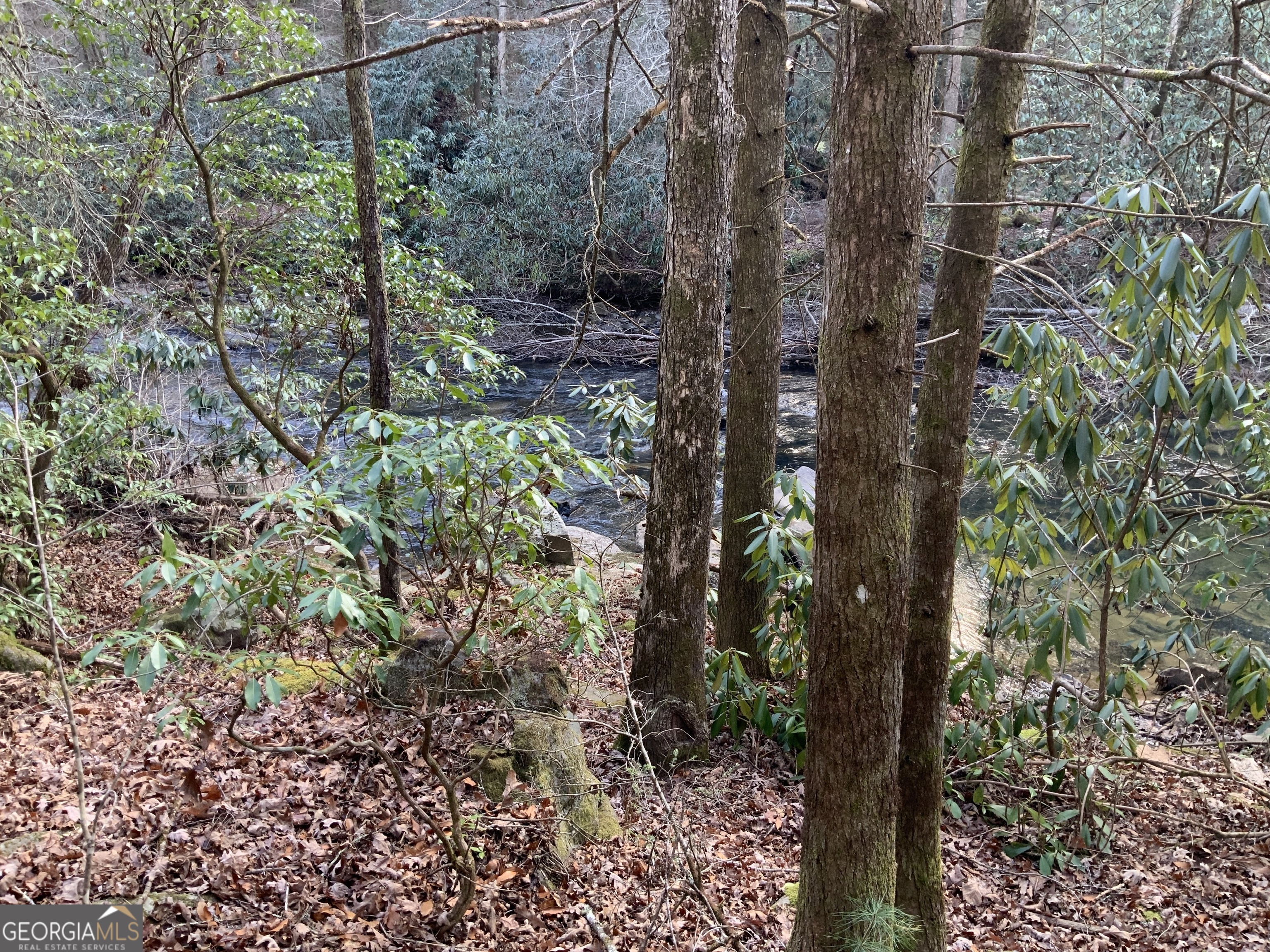 0 Fightingtown Creek Road McCaysville, GA 30555 - Photo 19 of 36 a view of a forest with a tree
