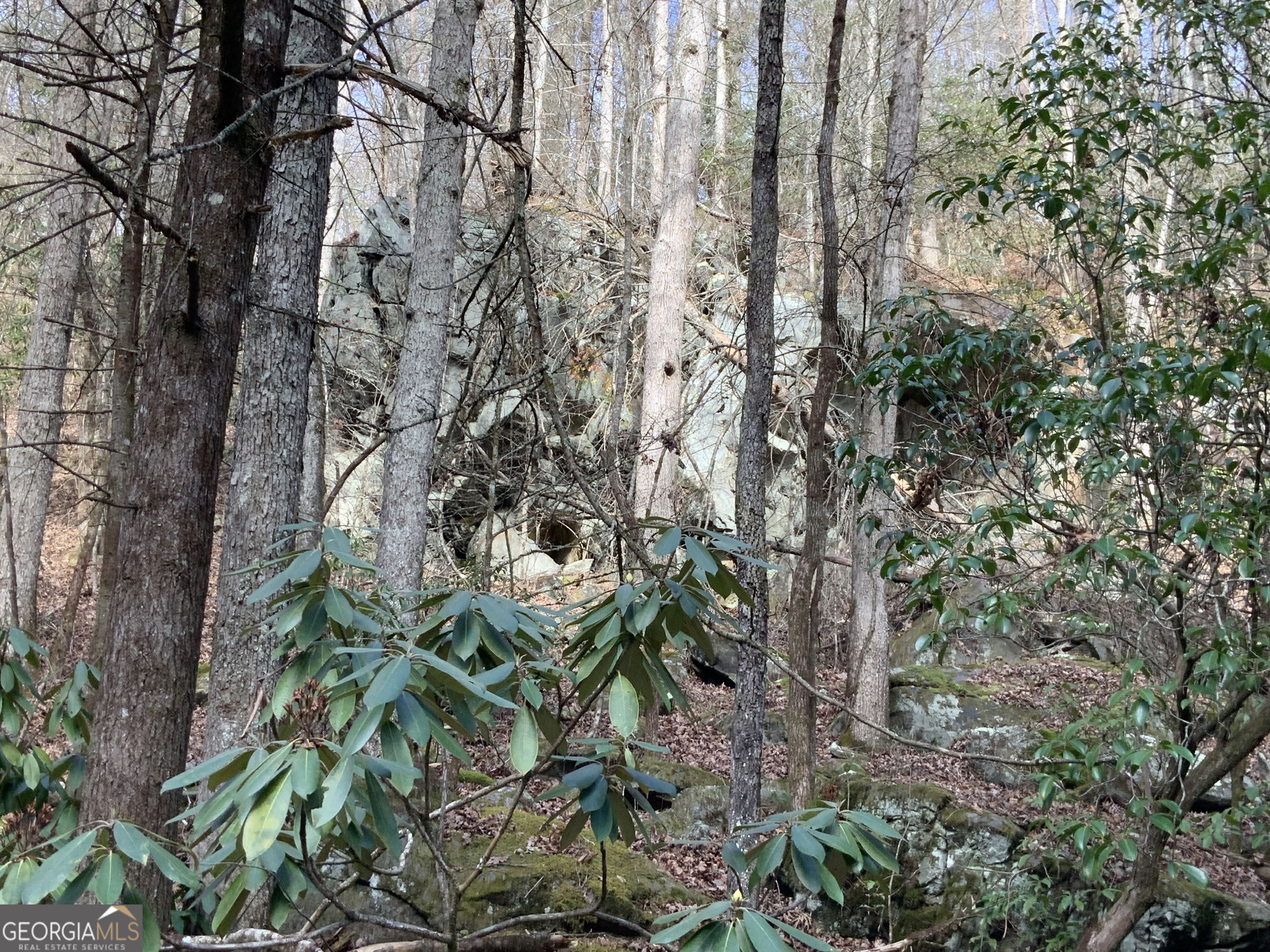 0 Fightingtown Creek Road McCaysville, GA 30555 - Photo 20 of 36 a backyard of a building with lots of trees
