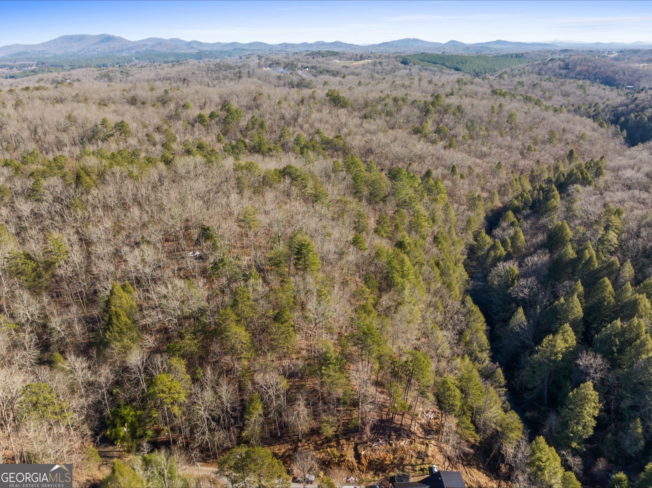 0 Fightingtown Creek Road McCaysville, GA 30555 - Photo 24 of 36 a view of a forest with mountains in the background