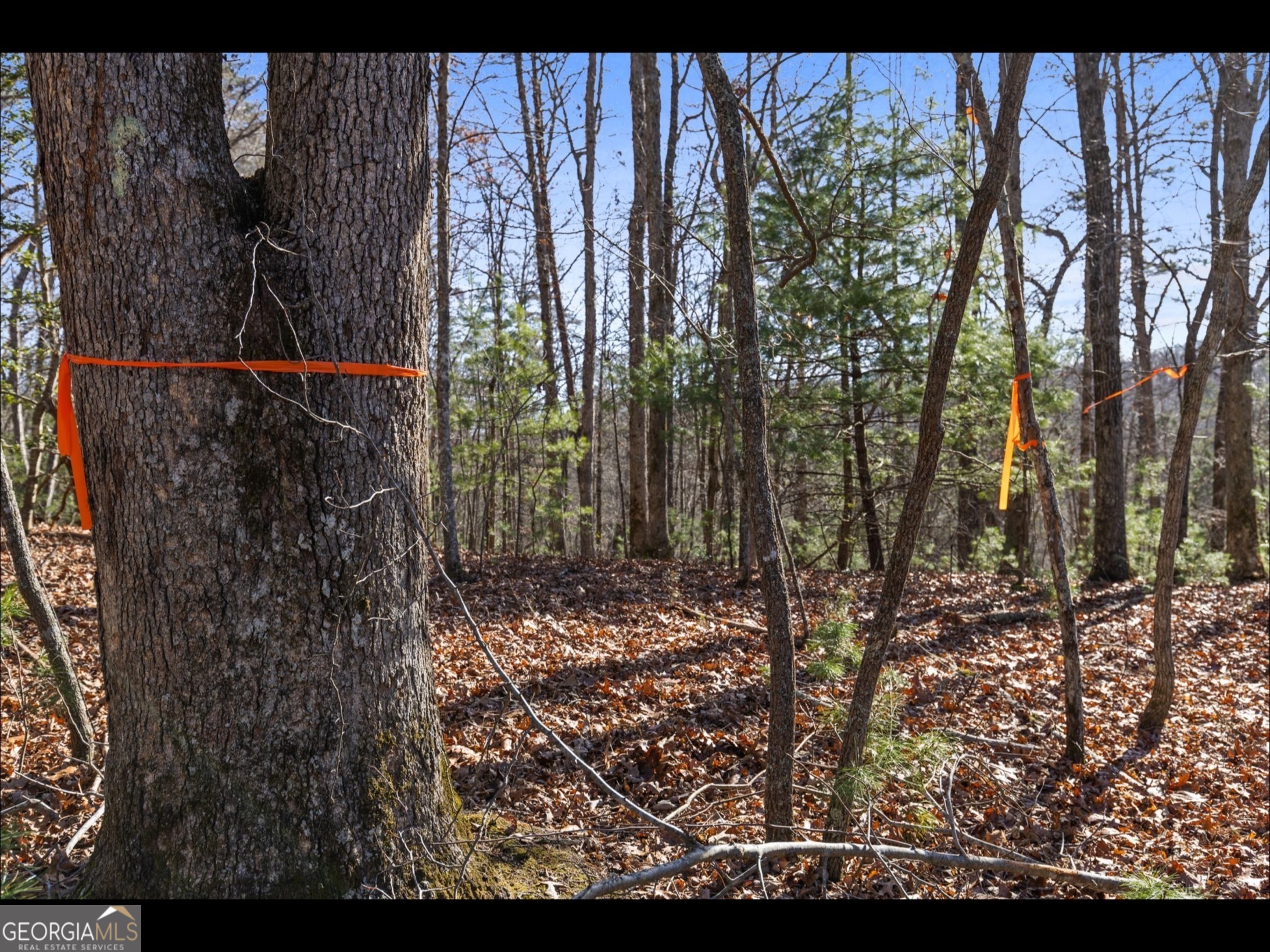 0 Fightingtown Creek Road McCaysville, GA 30555 - Photo 30 of 36 a view of a yard with wooden fence