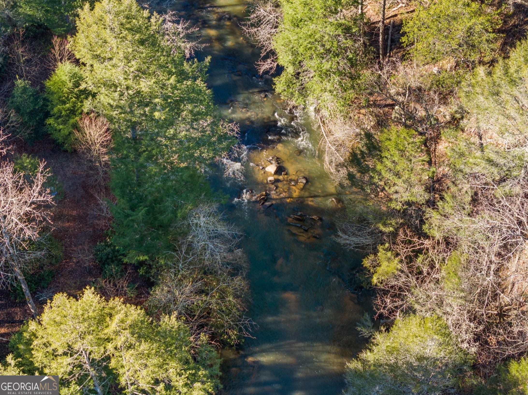 0 Fightingtown Creek Road McCaysville, GA 30555 - Photo 3 of 36 a picture of flowers