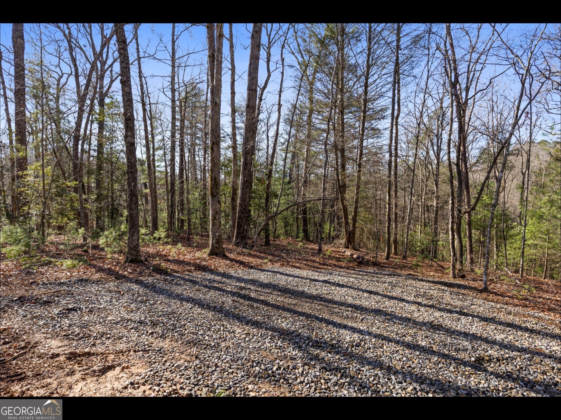 0 Fightingtown Creek Road McCaysville, GA 30555 - Photo 31 of 36 a view of a backyard with a garden