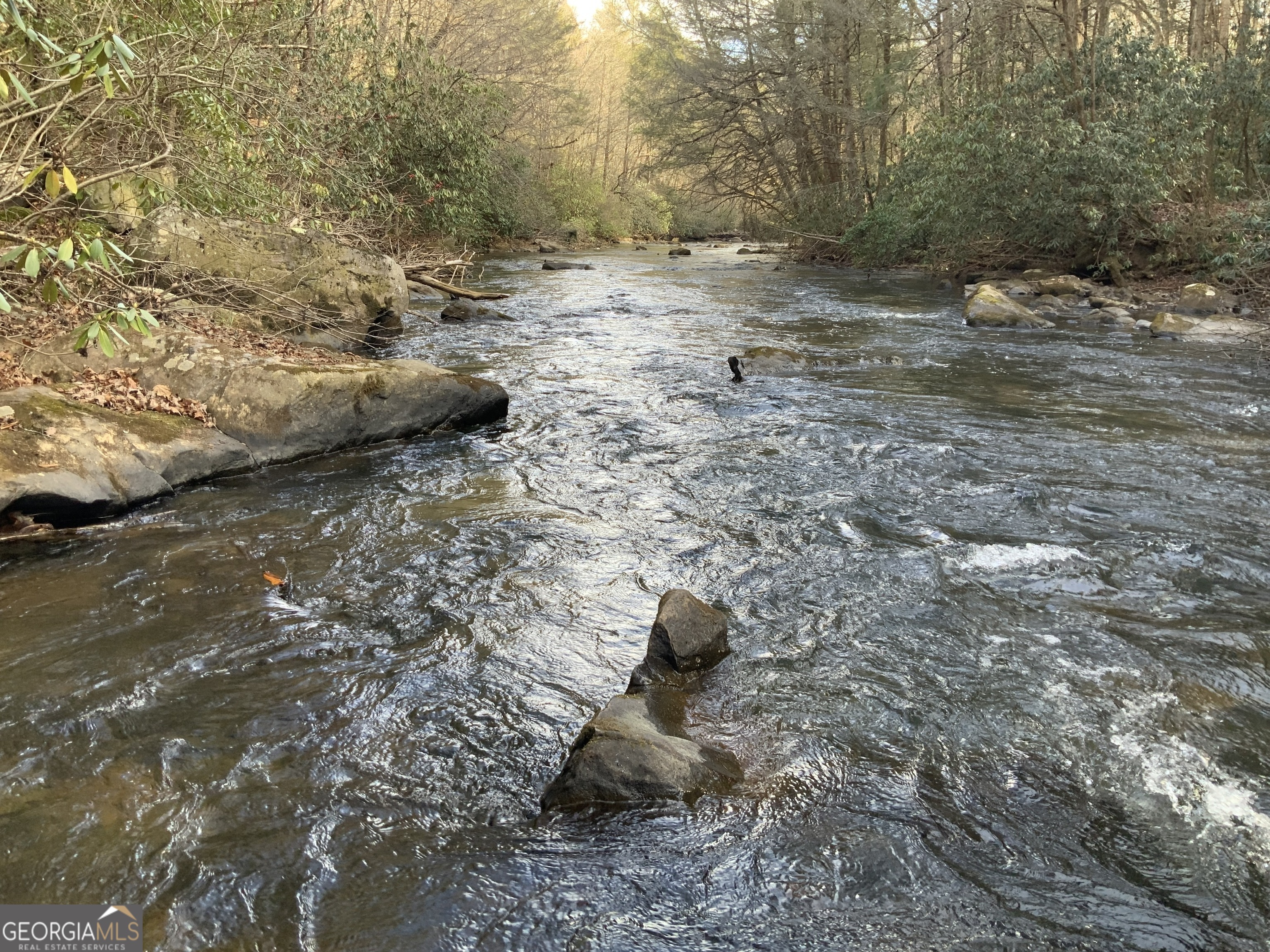 0 Fightingtown Creek Road McCaysville, GA 30555 - Photo 4 of 36 a view of a dry yard with trees