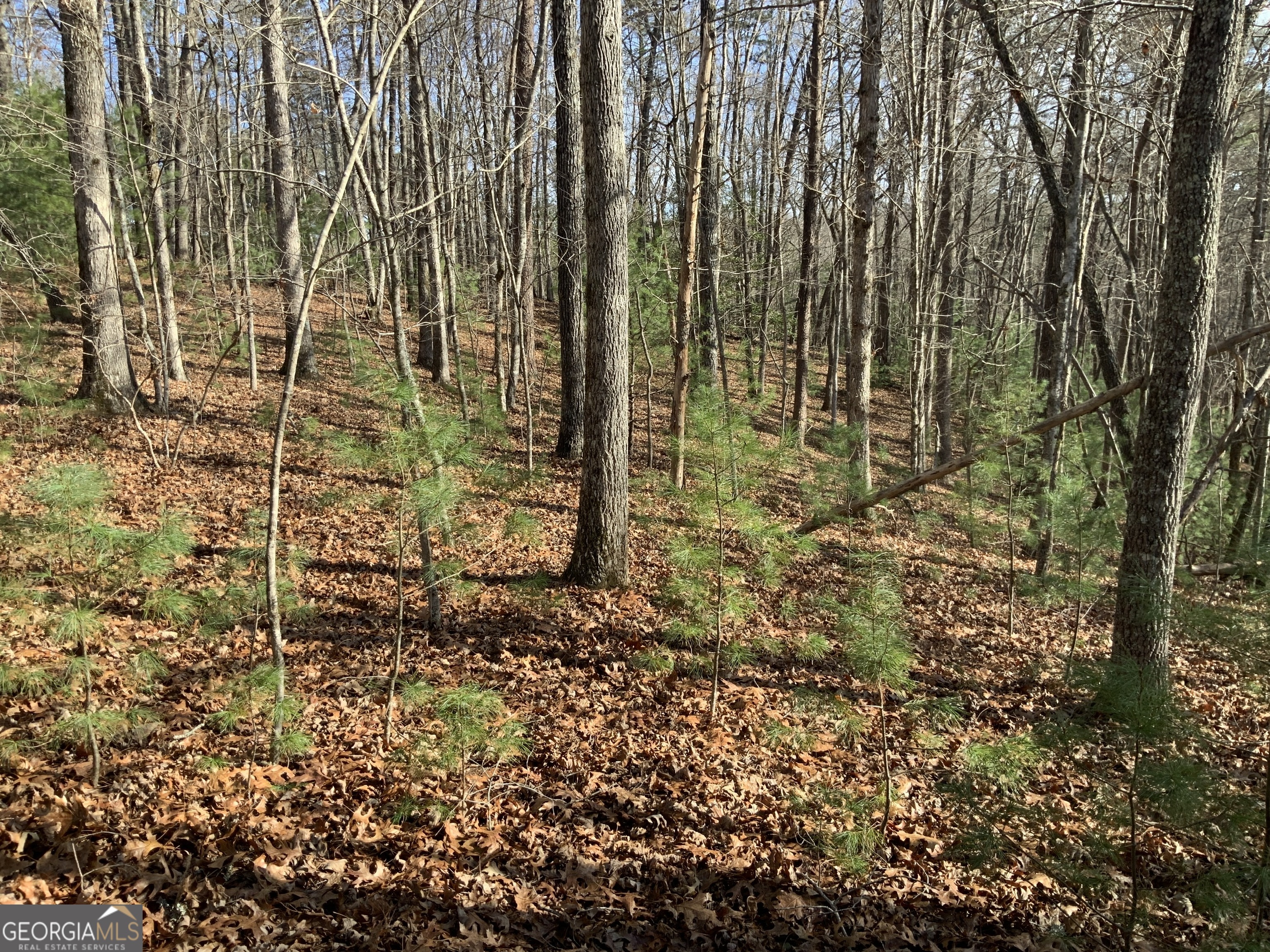 0 Fightingtown Creek Road McCaysville, GA 30555 - Photo 6 of 36