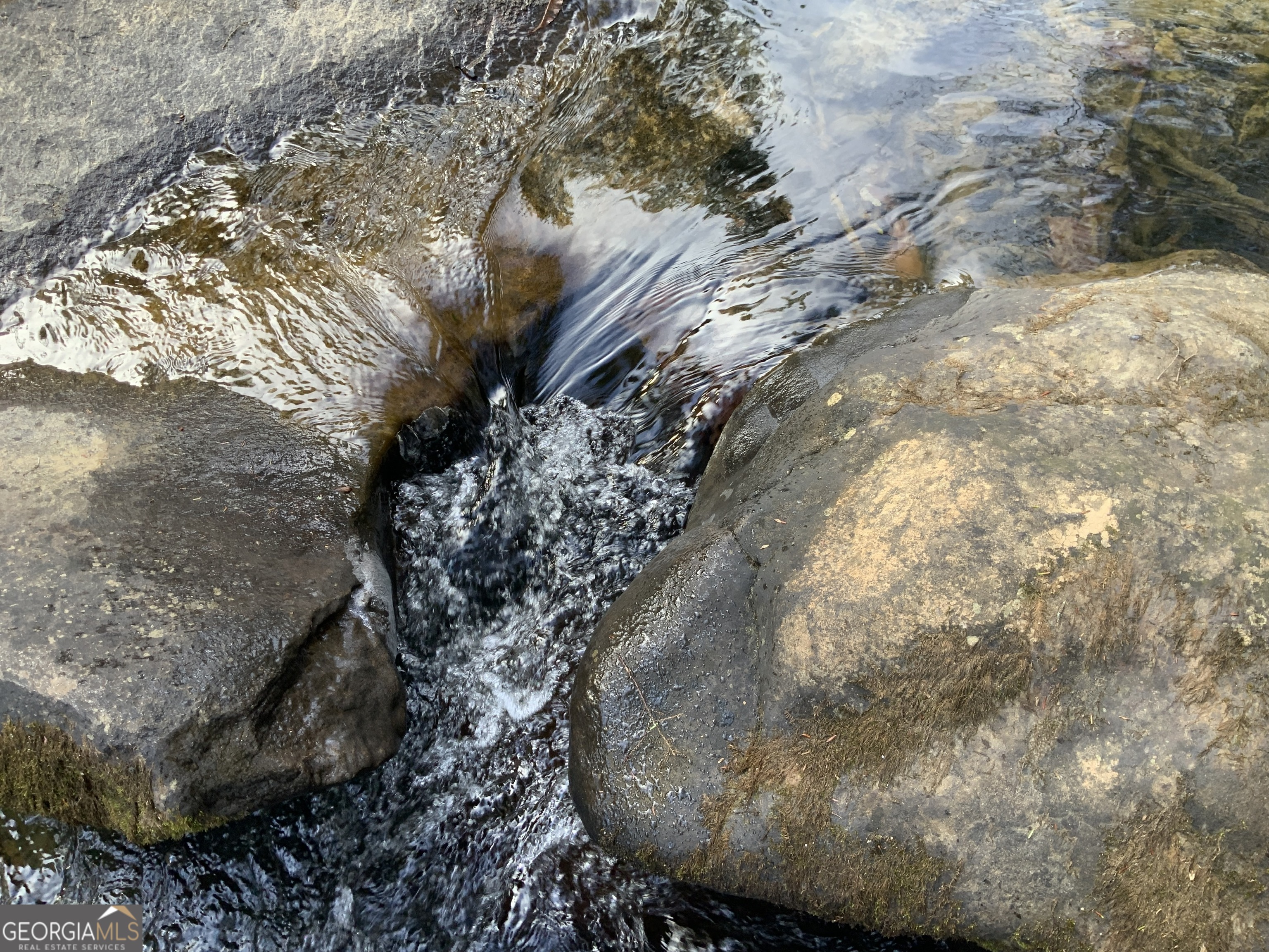 0 Fightingtown Creek Road McCaysville, GA 30555 - Photo 7 of 36 a view of a tree in a yard