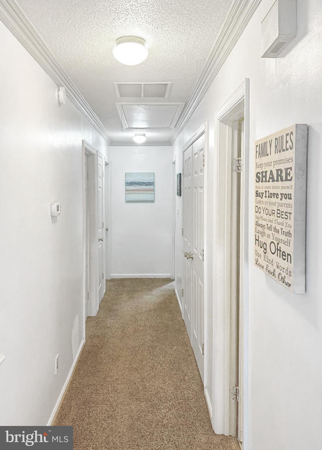 1409 Thomas Way Culpeper, VA 22701 - Photo 10 of 32 Hallway