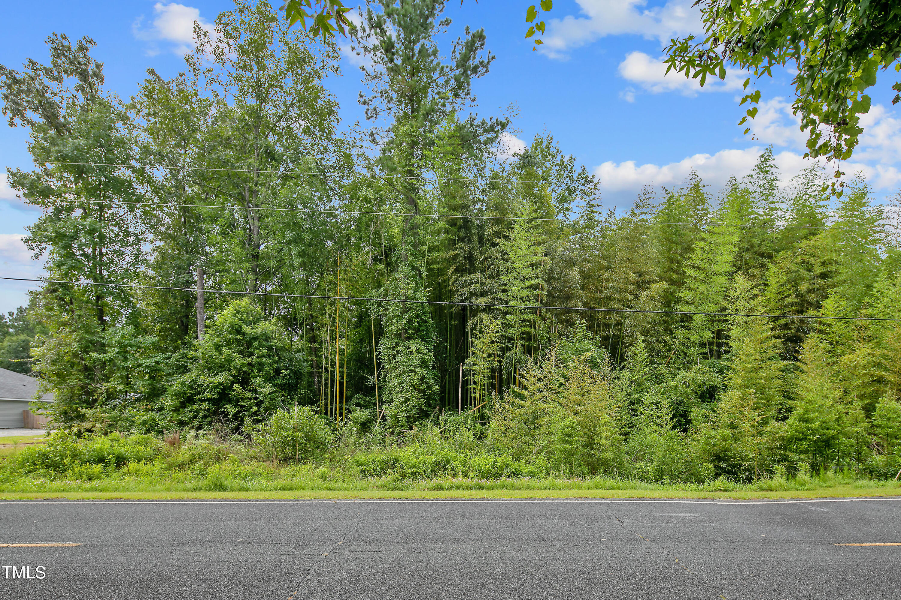 1350 Hayes Road Spring Lake, NC 28390 - Photo 4 of 25 04-1350HayesRdLot2SpringLake