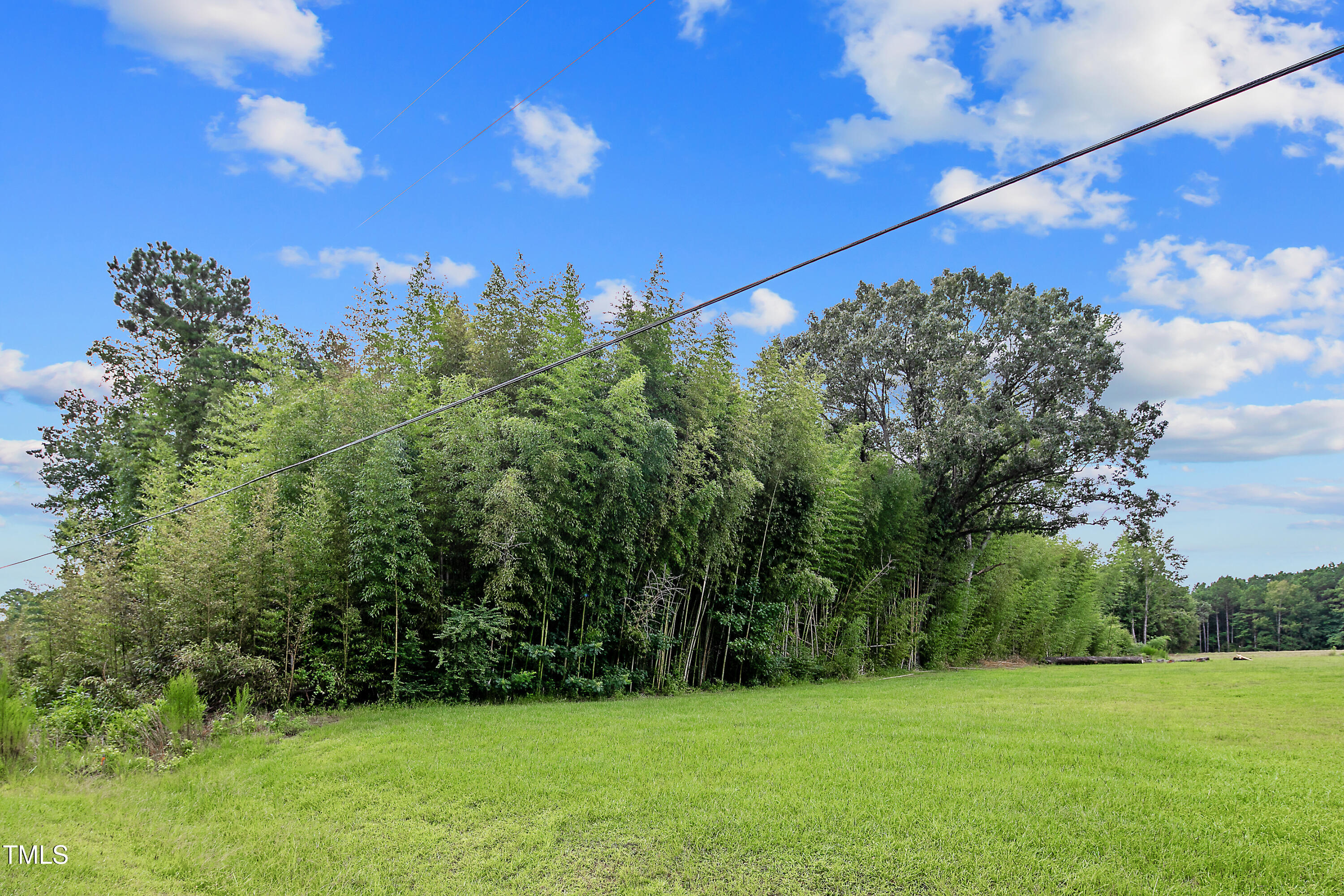 1350 Hayes Road Spring Lake, NC 28390 - Photo 7 of 25 07-1350HayesRdLot2SpringLake