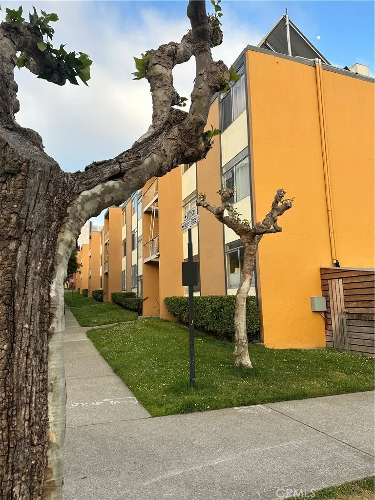 75 Western Shore Lane, Unit 1 San Francisco, CA 94102 - Photo 4 of 17 a backyard of a house with lots of green space