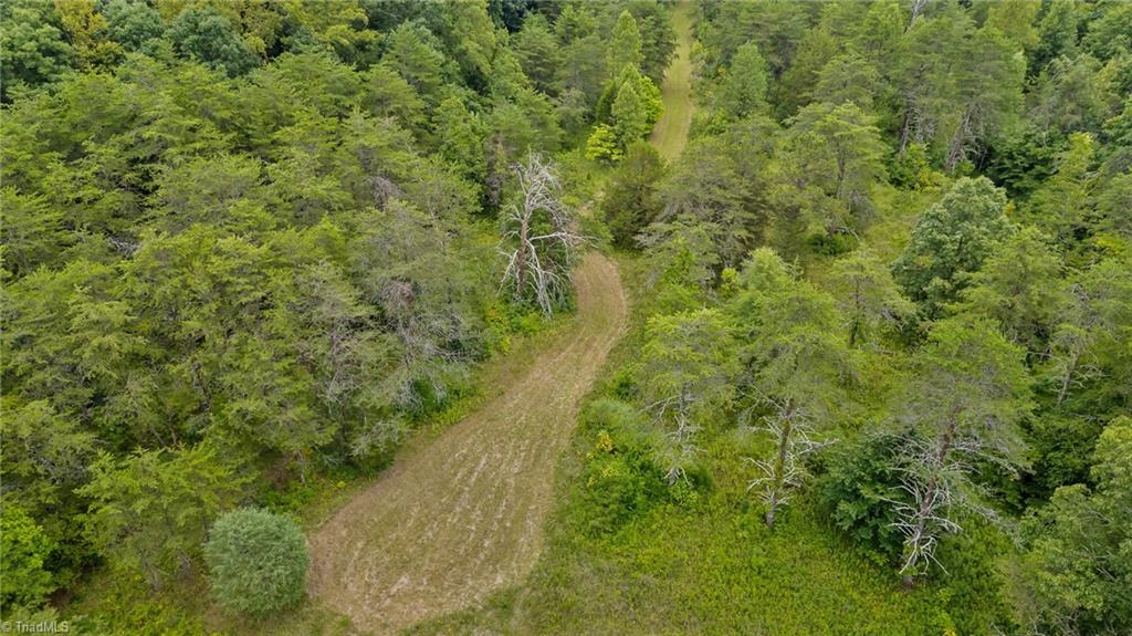 1127 Curt Boyles Road King, NC 27021 - Photo 11 of 50