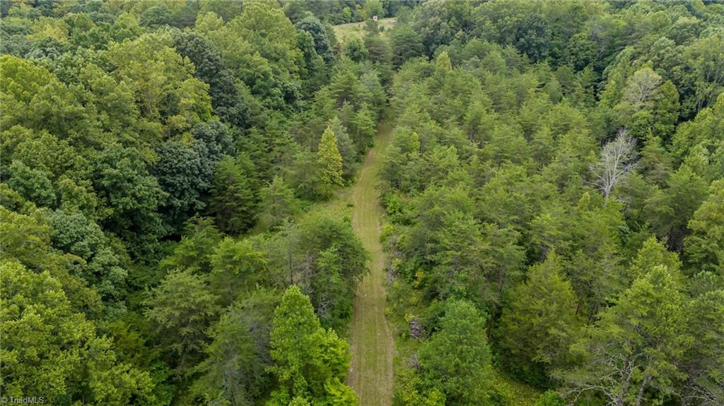 1127 Curt Boyles Road King, NC 27021 - Photo 12 of 50