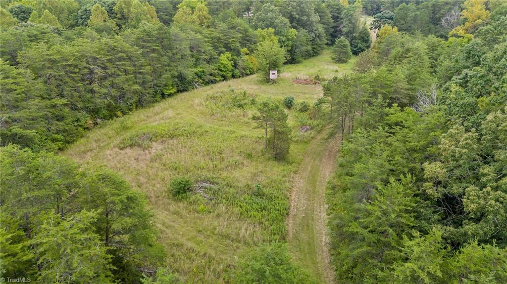 1127 Curt Boyles Road King, NC 27021 - Photo 13 of 50