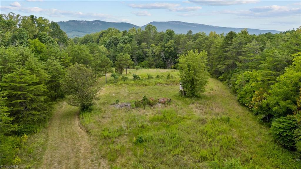1127 Curt Boyles Road King, NC 27021 - Photo 15 of 50