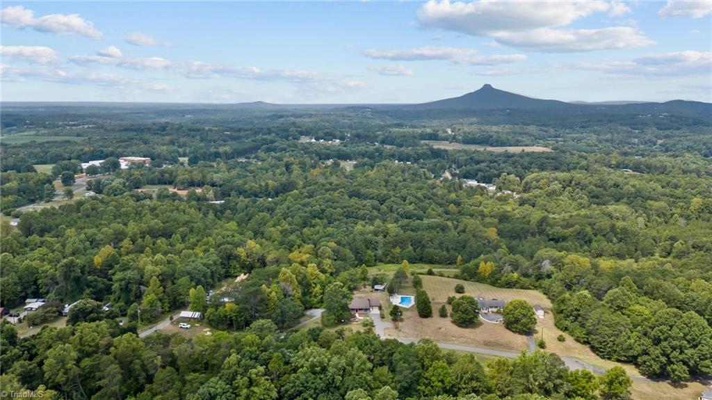 1127 Curt Boyles Road King, NC 27021 - Photo 6 of 50