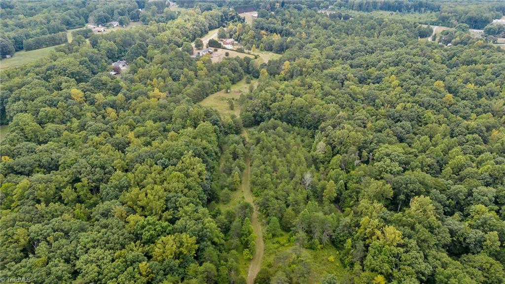 1127 Curt Boyles Road King, NC 27021 - Photo 10 of 50