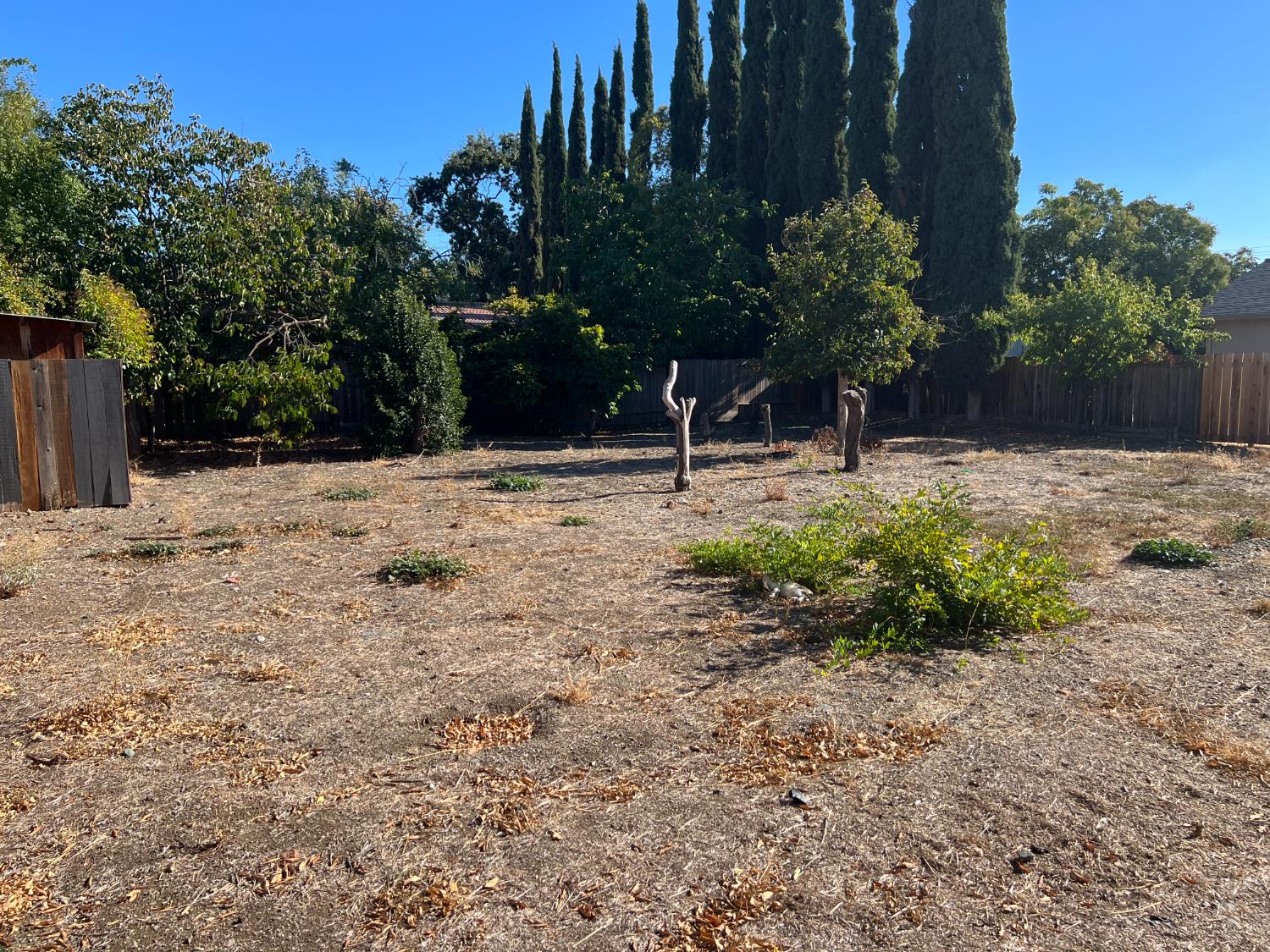 4719 Springwood Way Concord, CA 94521 - Photo 2 of 5 a backyard of a house with a tree