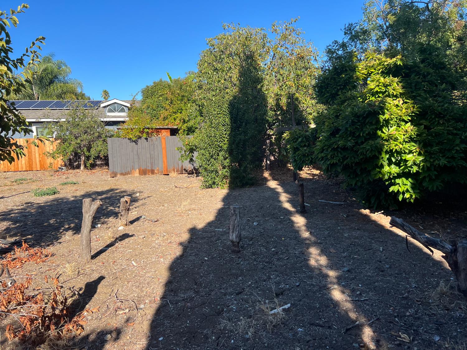 4719 Springwood Way Concord, CA 94521 - Photo 4 of 5 a view of a yard with plants and trees