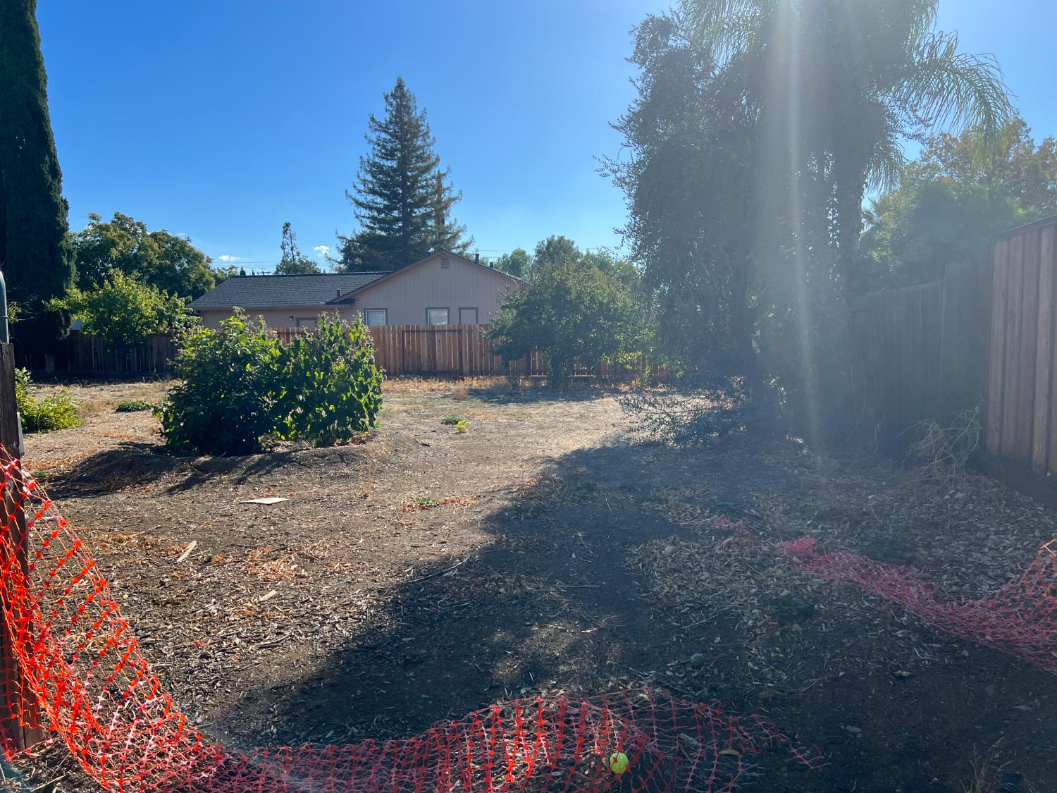 4719 Springwood Way Concord, CA 94521 - Photo 5 of 5 a view of a yard with a tree