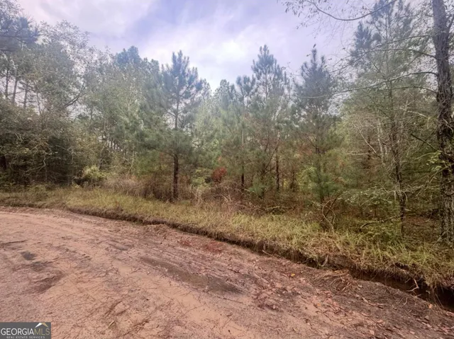 a view of a dry yard with trees and stairs