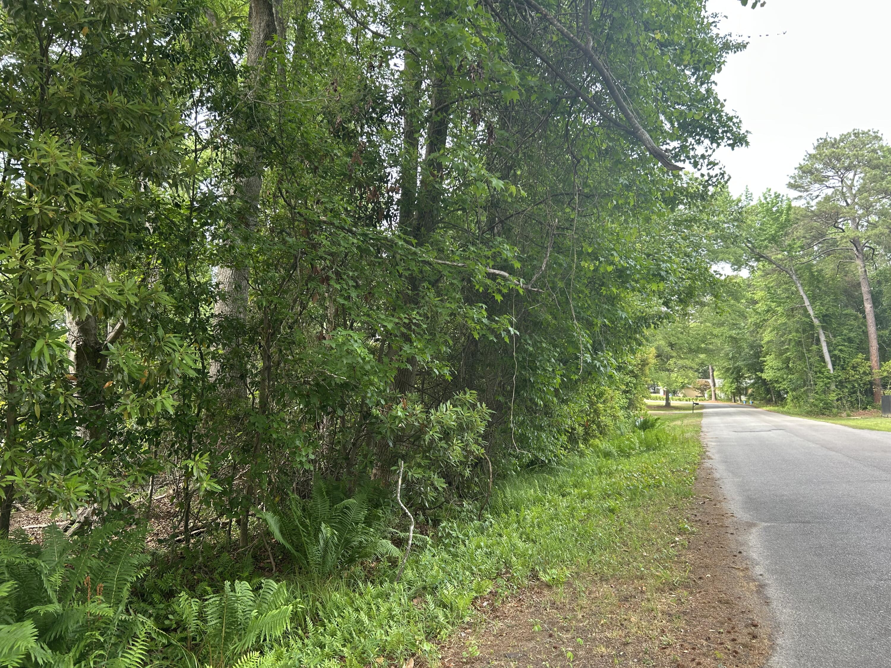 2115 Tanglewood Road Sumter, SC 29154 - Photo 1 of 3