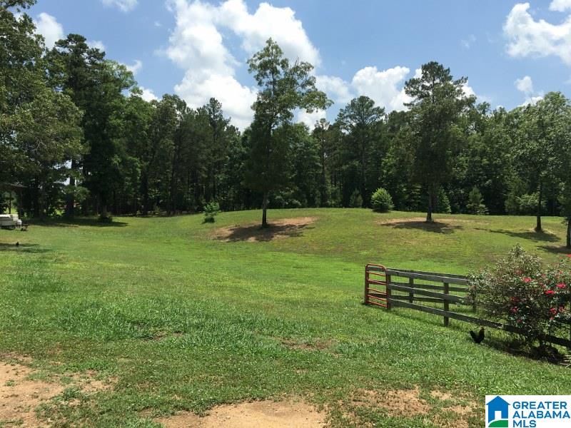 6512 Letson Lake Road Bessemer, AL 35023 - Photo 9 of 25