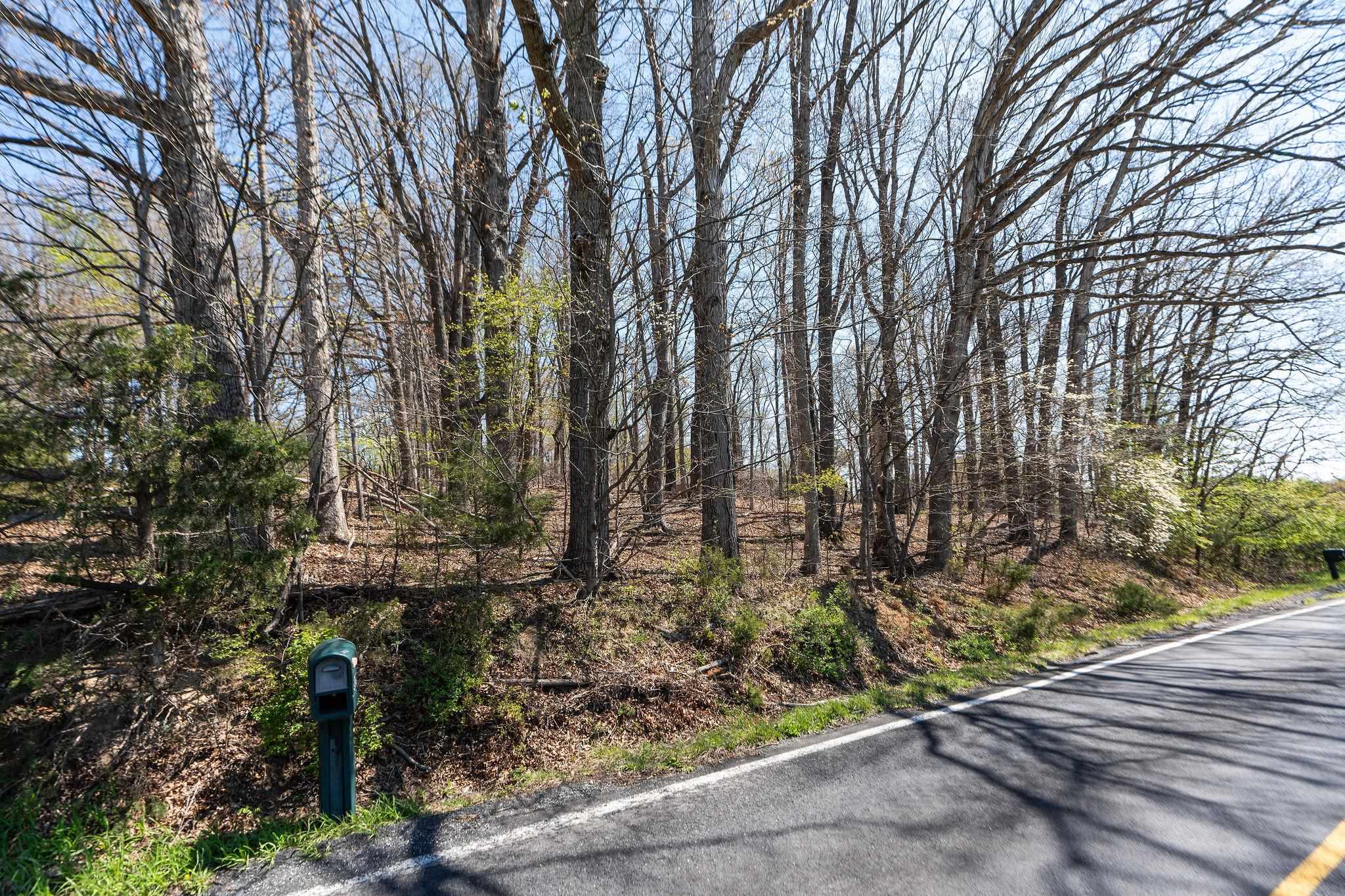 .67-acres Shutterlee Mill Road Staunton, VA 24401 - Photo 2 of 23 a pathway of a yard