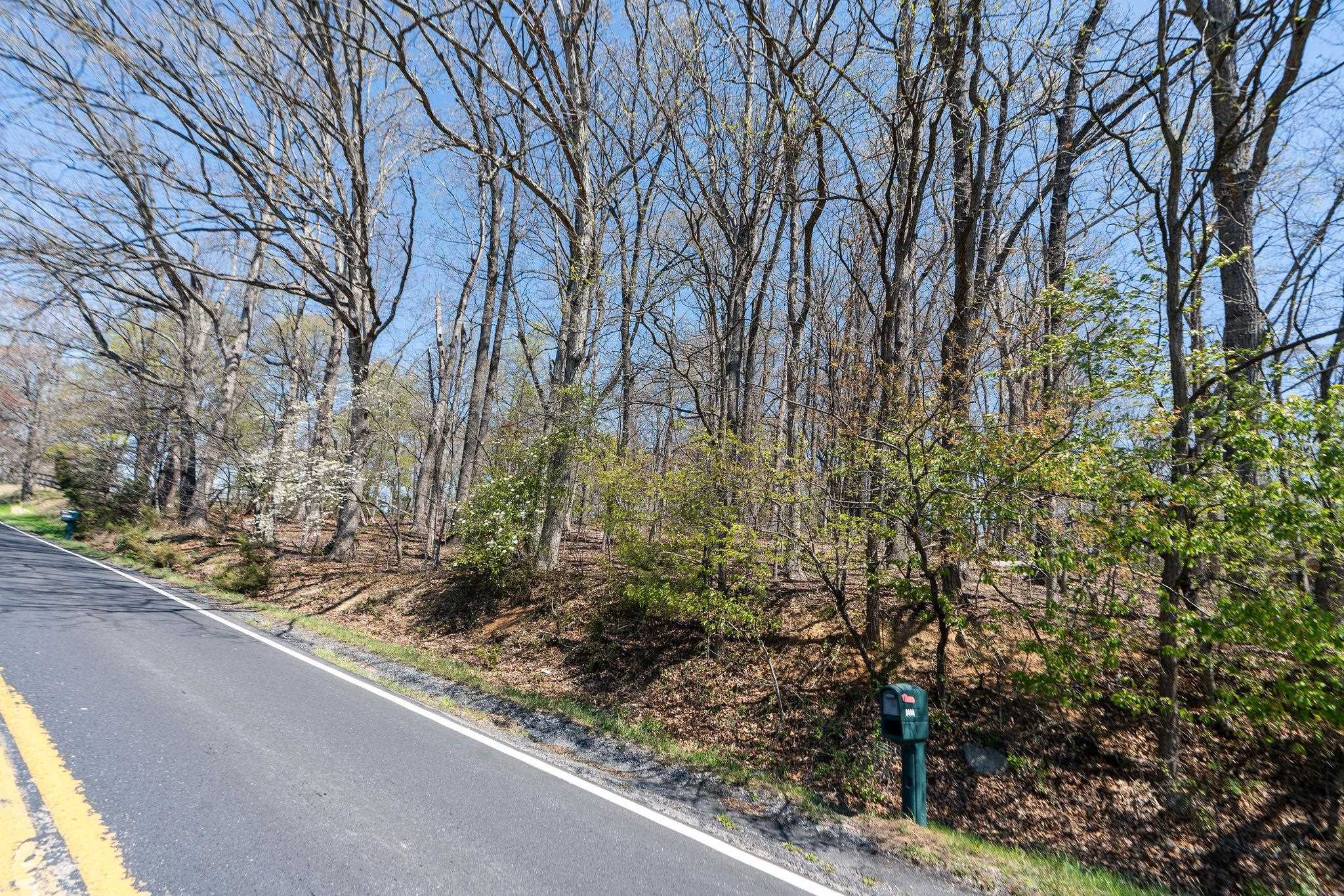 .67-acres Shutterlee Mill Road Staunton, VA 24401 - Photo 5 of 23 a view of a yard with plants and trees
