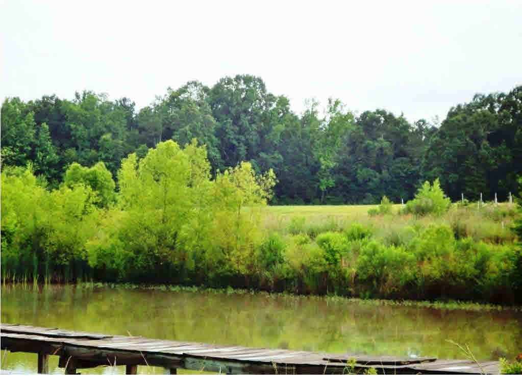 3098 Allen Road Hazlehurst, MS 39083 - Photo 8 of 16 Photo 8