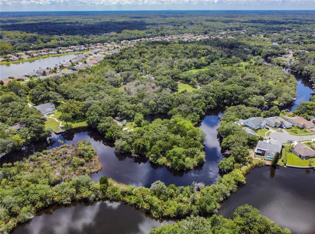 0 Berry Hill Road Holiday, FL 34690 - Photo 33 of 43