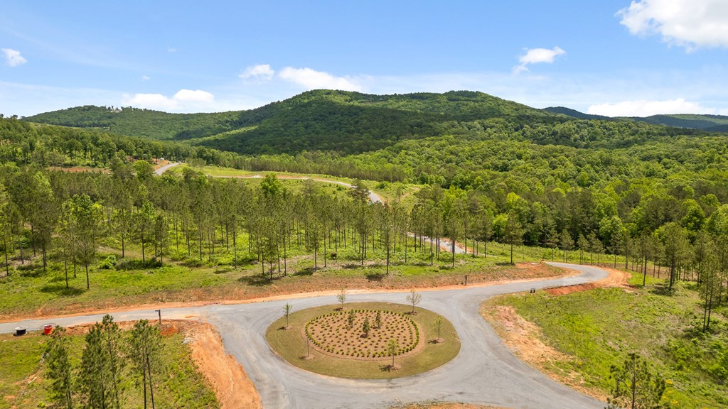 Lot 414 Calloway Mountain Road Talking Rock, GA 30175 - Photo 20 of 25