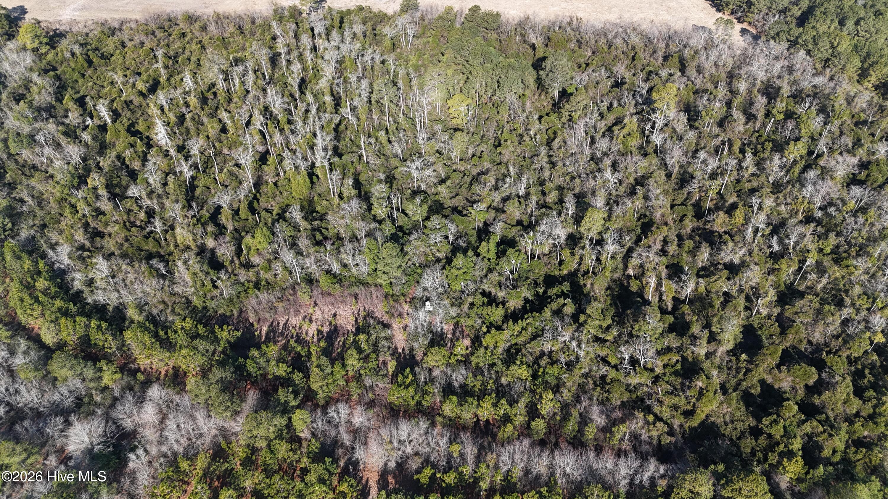 523 Culbreth Smith Road Elizabethtown, NC 28337 - Photo 12 of 27 DJI_20260210095608_0557_D