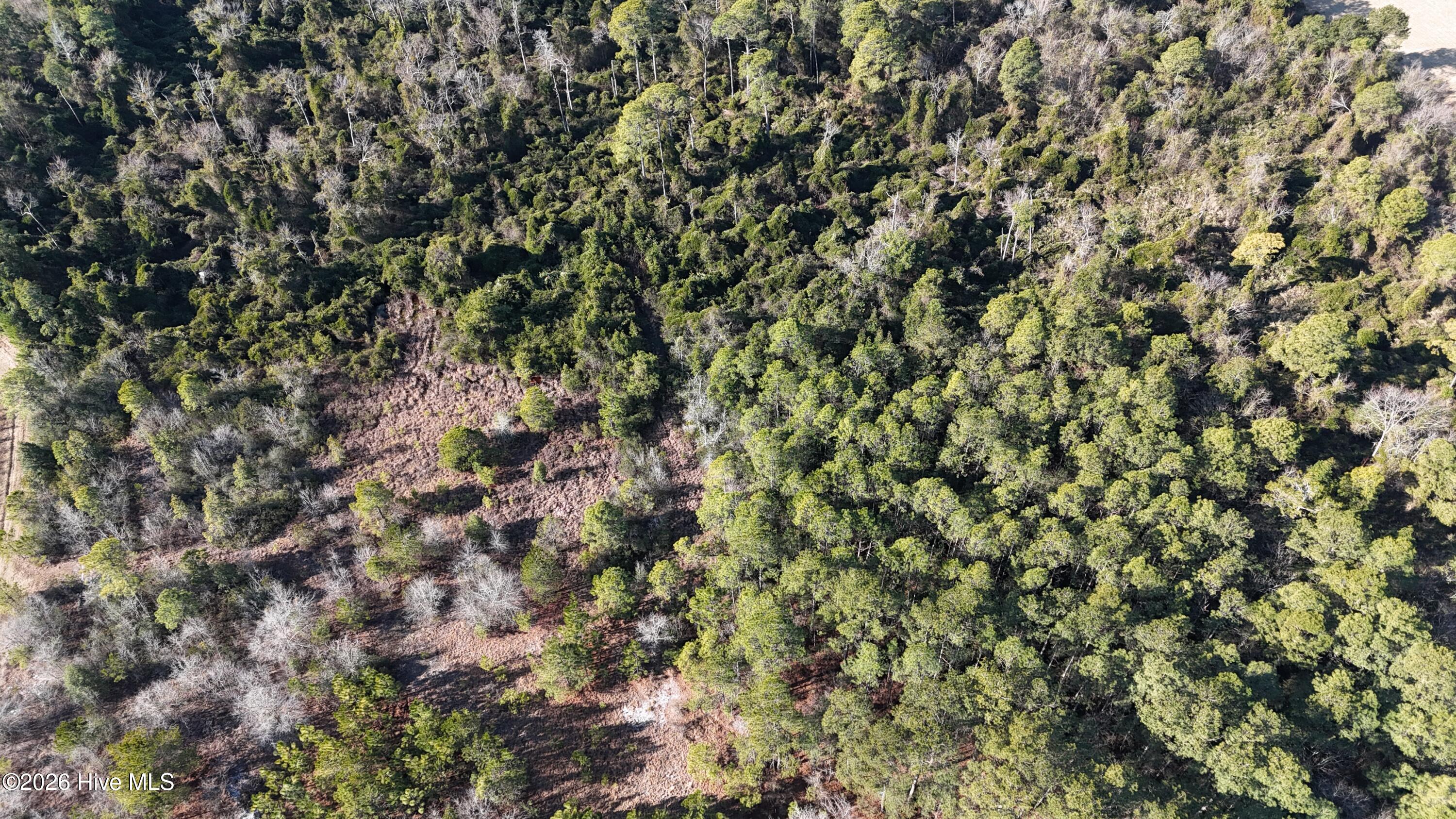 523 Culbreth Smith Road Elizabethtown, NC 28337 - Photo 15 of 27 DJI_20260210095804_0564_D