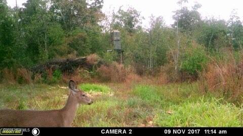 523 Culbreth Smith Road Elizabethtown, NC 28337 - Photo 19 of 27 ME8c1d77264d3876f8efca055e2b992b74