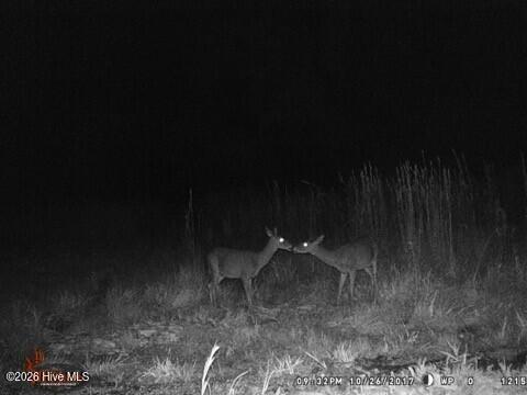 523 Culbreth Smith Road Elizabethtown, NC 28337 - Photo 21 of 27 ME459c7eb841b86173b5c7a1c86754b98a