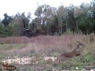 523 Culbreth Smith Road Elizabethtown, NC 28337 - Photo 22 of 27 ME68886e8e4d61b1c63738efe30c286cab