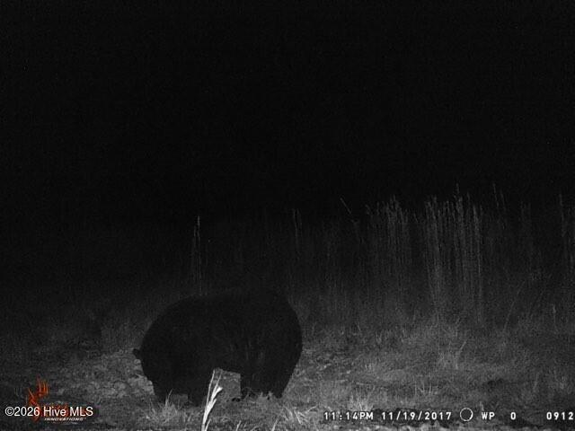 523 Culbreth Smith Road Elizabethtown, NC 28337 - Photo 25 of 27 MEdfb0d91a9269386affe0d5e09d3bcf65