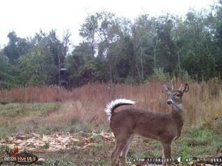 523 Culbreth Smith Road Elizabethtown, NC 28337 - Photo 26 of 27 MEe3c0cd5e49605b9641c56256d6c201a8