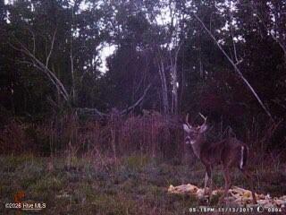 523 Culbreth Smith Road Elizabethtown, NC 28337 - Photo 27 of 27 MEf046879005b9ef56ae86b55b2f60f07c