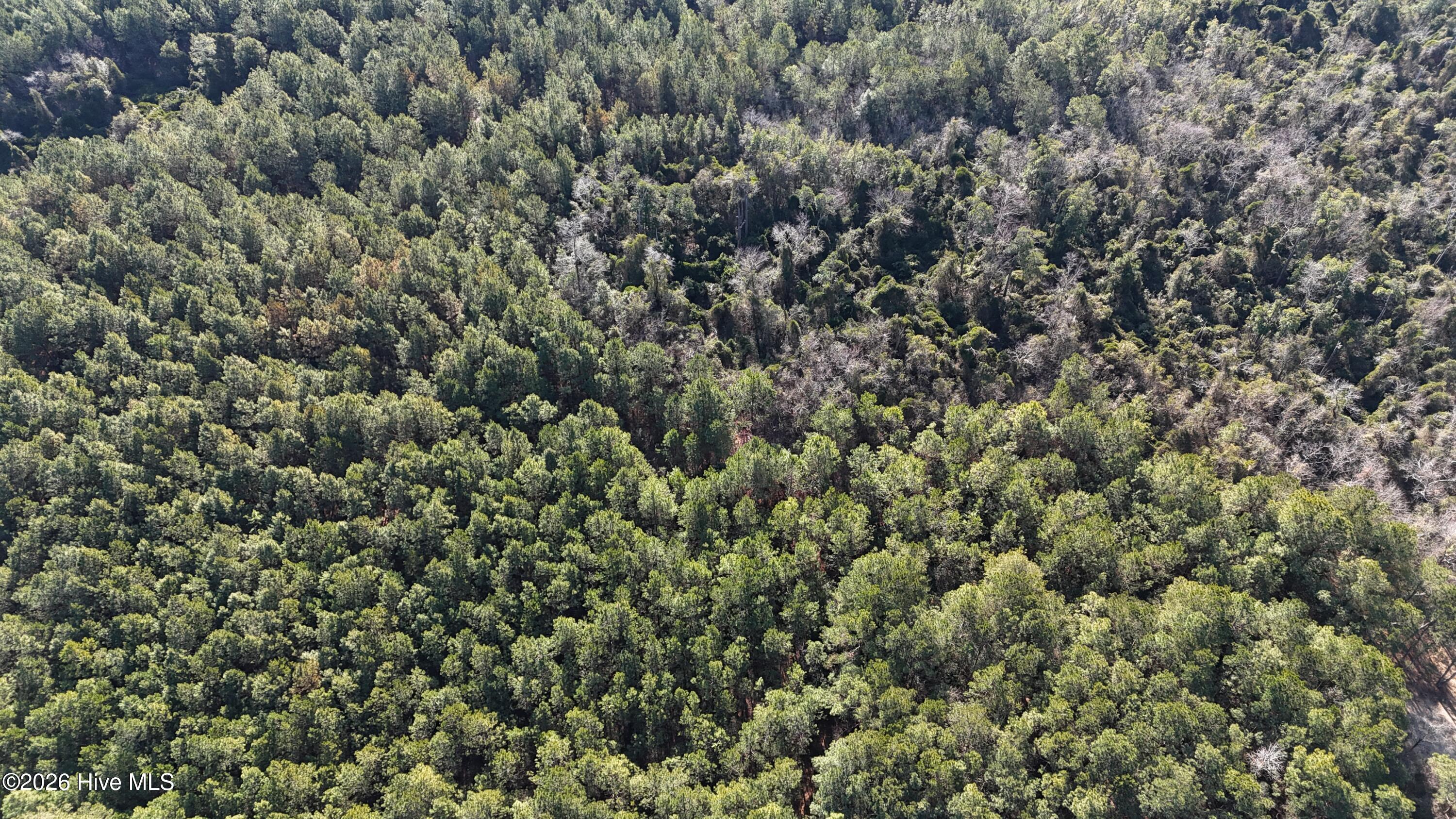 523 Culbreth Smith Road Elizabethtown, NC 28337 - Photo 9 of 27 DJI_20260210095419_0554_D