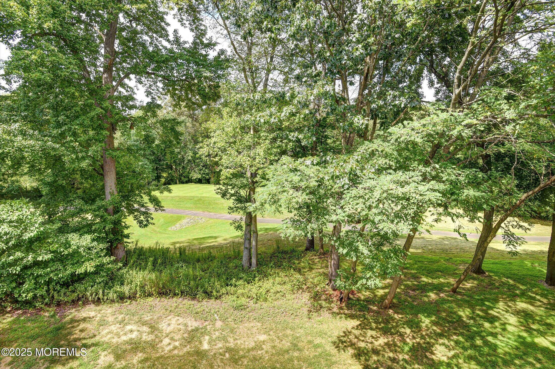 594 St Andrews Place Manalapan, NJ 07726 - Photo 28 of 35 a view of a garden with a tree