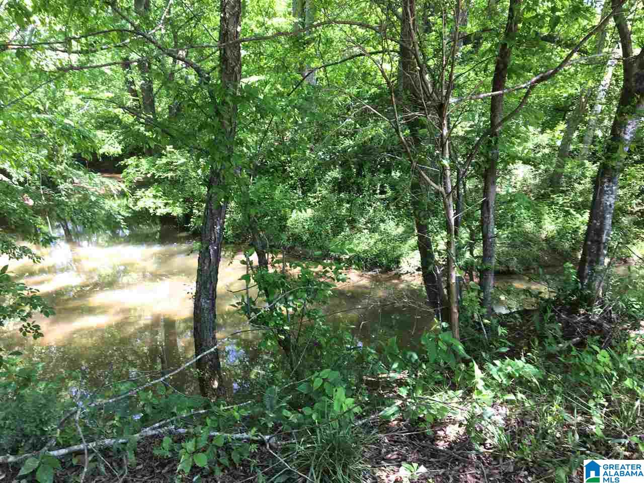 4545 Holly Grove Road Jasper, AL 35501 - Photo 25 of 33