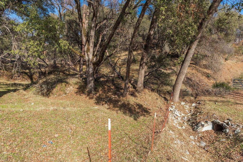 11111 State Rte 26 Mokelumne Hill, CA 95245 - Photo 19 of 22 a backyard of a house with large trees